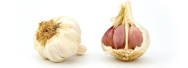 Knoblauch zur Zeckenabwehr