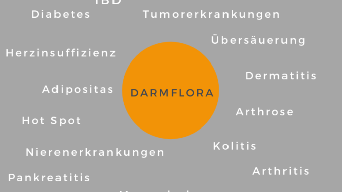 intestinale Mikrobiota und Erkrankungen