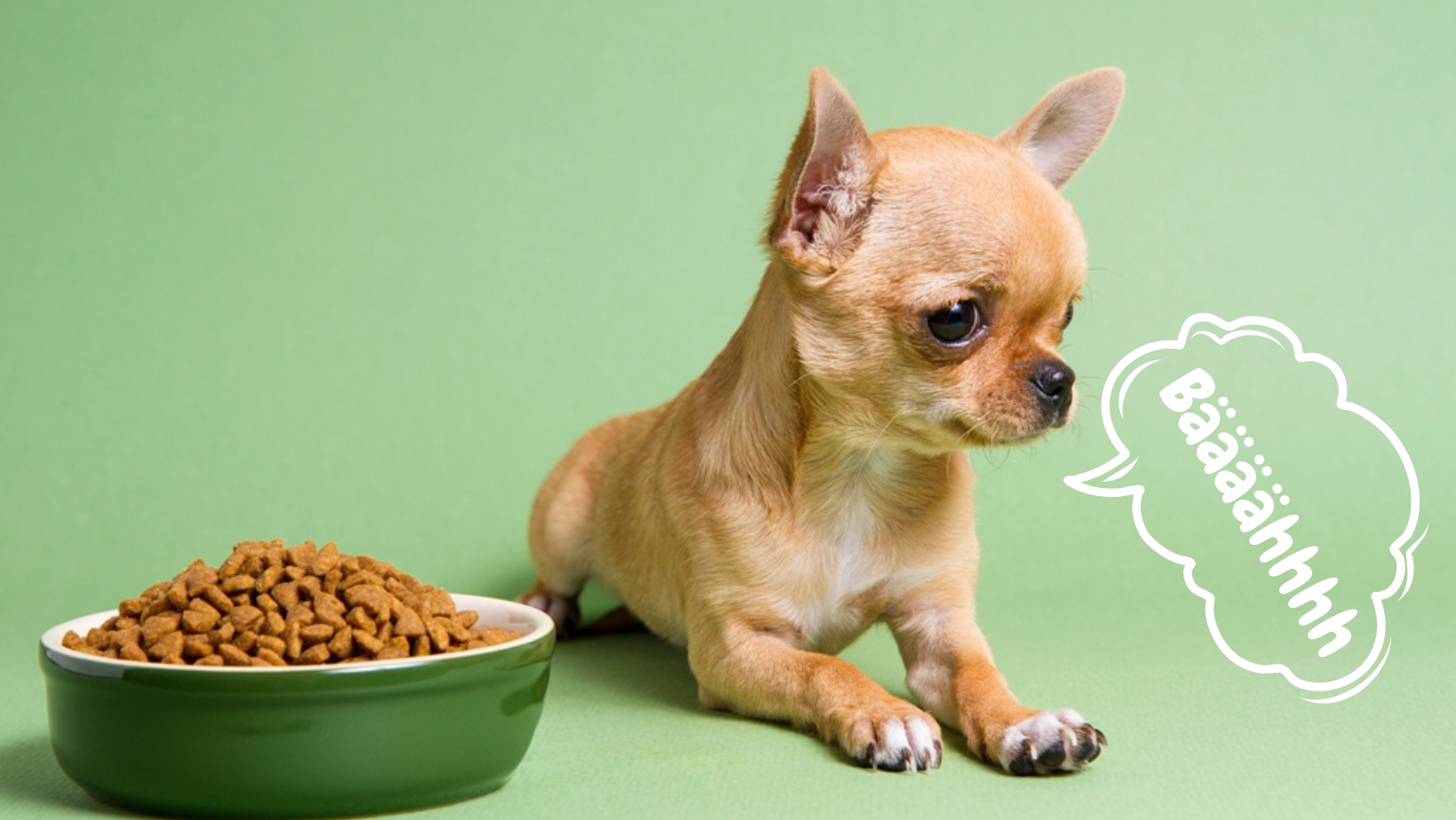 Fertigfutter für Hunde, die wählerisch sind