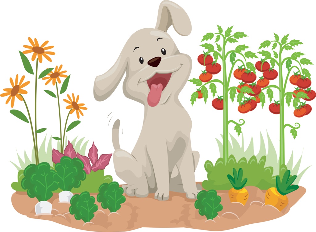 Neujahrsvorsätze für nachhaltigere Hundeernährung