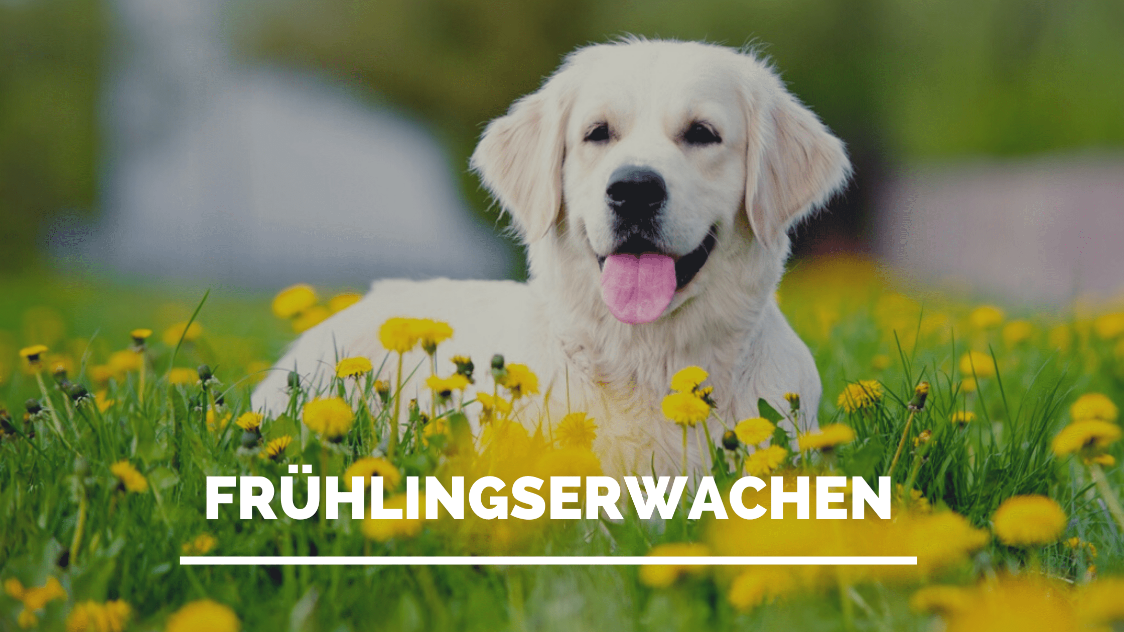 Füttern im Frühling
