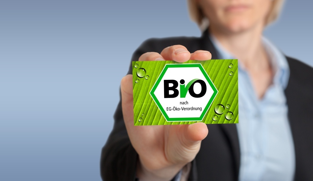 Ist Bio-Hundefutter wirklich besser?