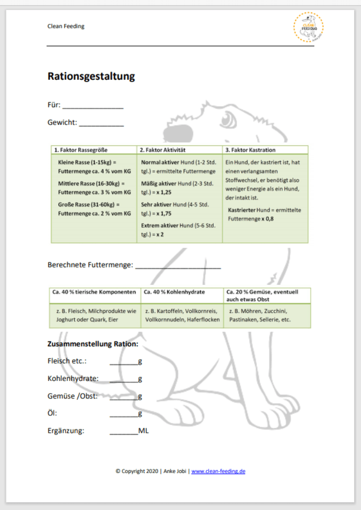 Ausgewogenes Hundefutter selber machen