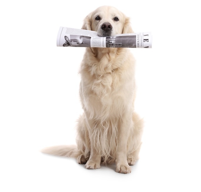 Clean Feeding Newsletter