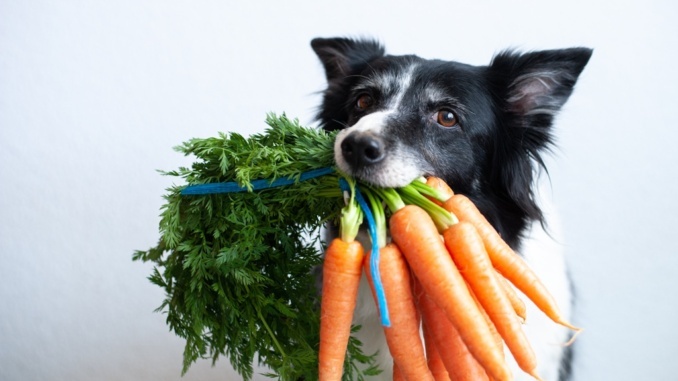 Vitamin A in Möhren 