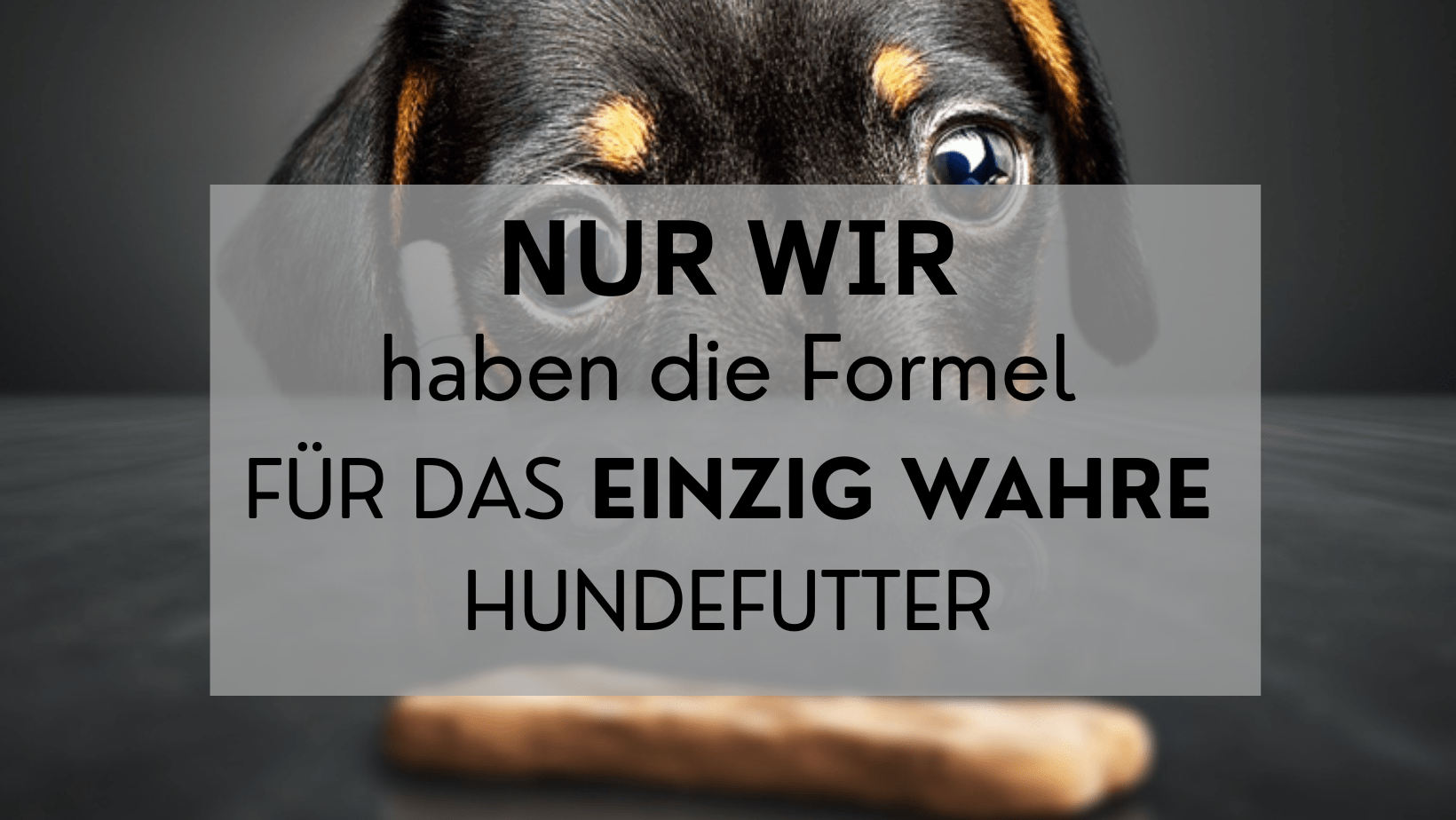 Regionales Hundefutter findet man selten