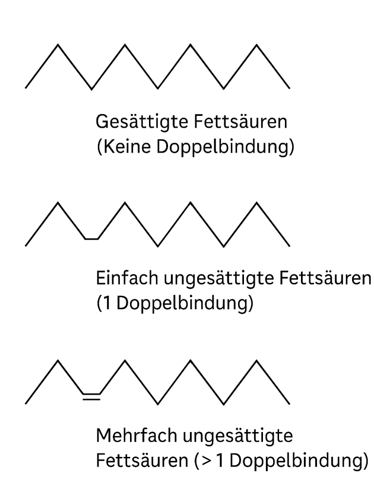 Fettsäuren in gesunden Ölen für Hunde