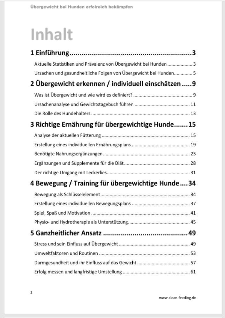 Inhaltsverzeichnis