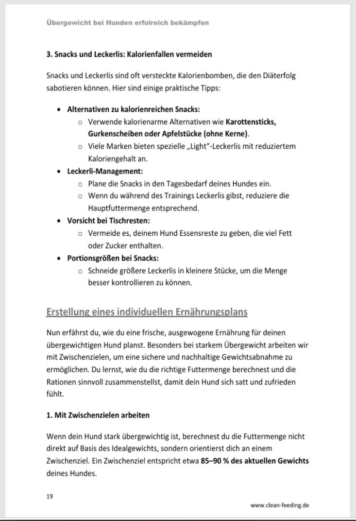 Probeseite1