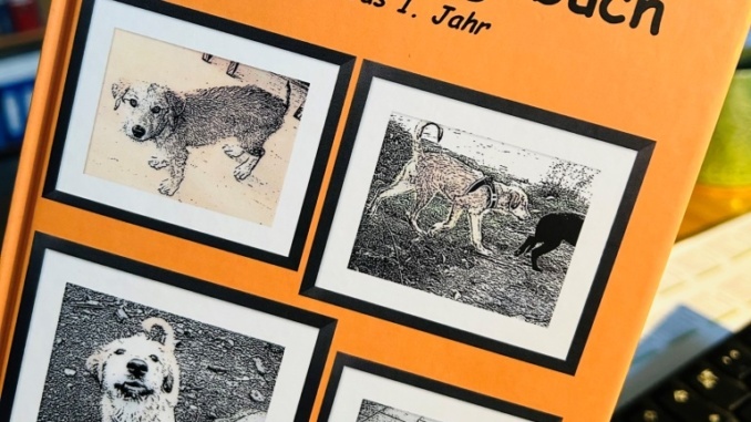 Lucies Tagebuch