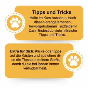 1 Beispiel für Infokästen 1 Beispiel für Infokästen