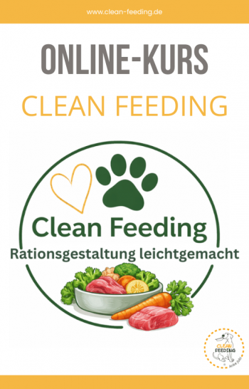 Clean Feeding Kurs Startseite2