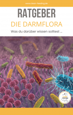 Darmflora Startseite