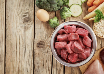 Fresh ingredients for a healthy dog diet