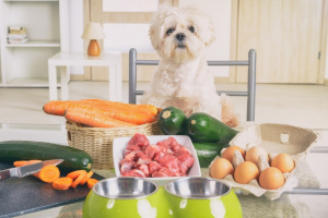 Preparing natural food for pets Preparing natural food for pets