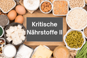 Kritische Nährstoffe 2 Kritische Nährstoffe 2