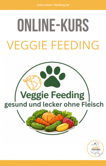 Veggie Feeding Kurs Startseite